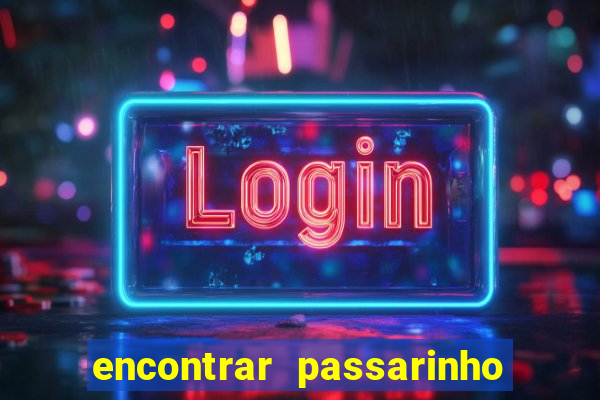 encontrar passarinho morto significado